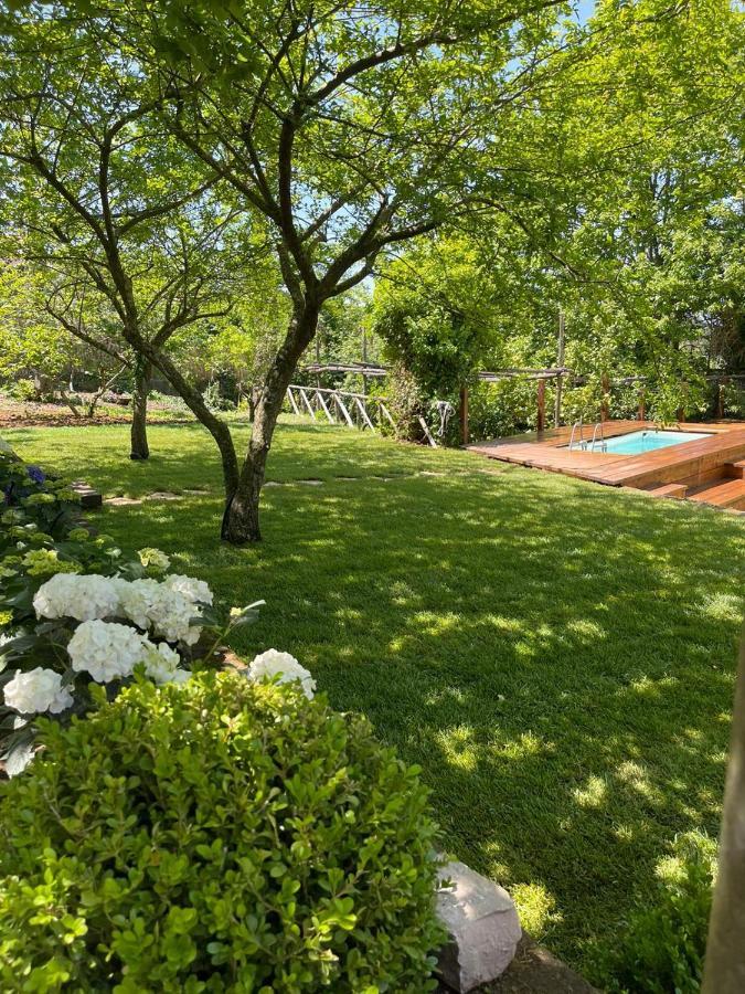 Villa Spartano Sant'Agata Sui Due Golfi Massalubrense マッサ・ルブレンセ エクステリア 写真